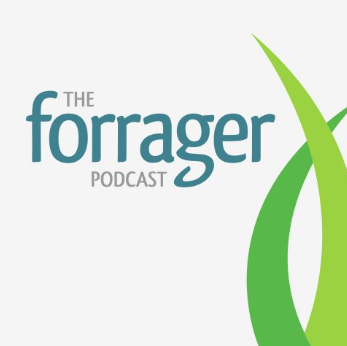 Screenshot 2022-06-19 2.29.52 PM