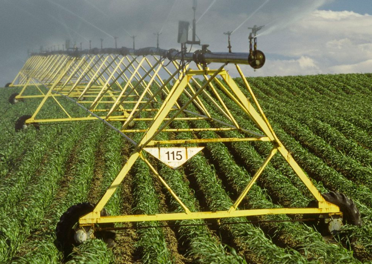 Screenshot 2023-07-09 8.16.51 PM